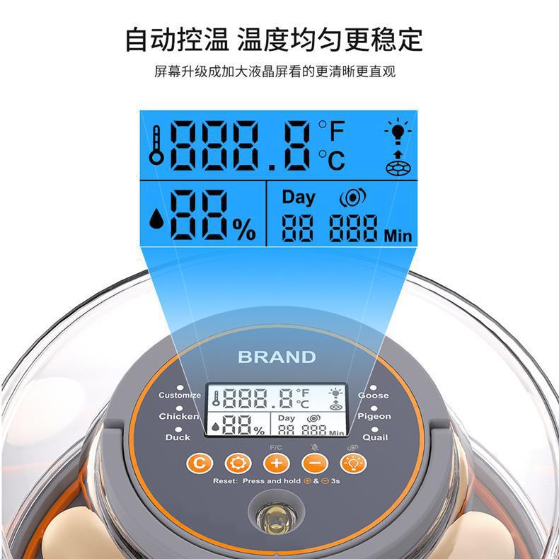 孵化器