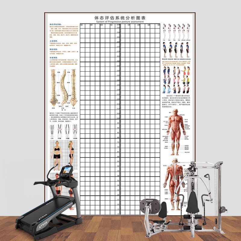 体态评估表墙贴纸身高体测图健身房体测网格纸身体评估矫正体态表