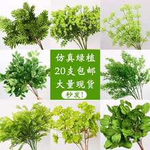 cGֲ~Jݲ廨ֲݻYbG~ٻ