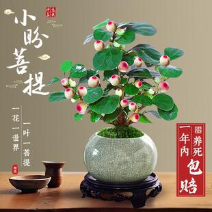 ���������С�������辰������ʽ�U������[���҃Ȅ�����B�Gֲ��
