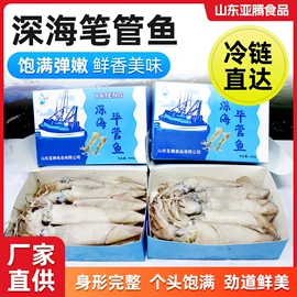 软体类;鱼类;贝类