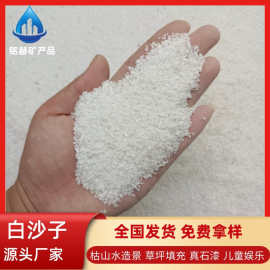 白沙子砂源头厂家批发幼儿园户外沙子用造景沙质感无尘沙无尘砂