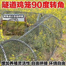 大号跑道围栏网鸡笼隧道室外牛津折叠养殖防黄鼠狼新型走地散养鸡