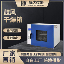 中小型实验室多功能精密烘箱 高温工业烘箱制做 热风循环干燥箱