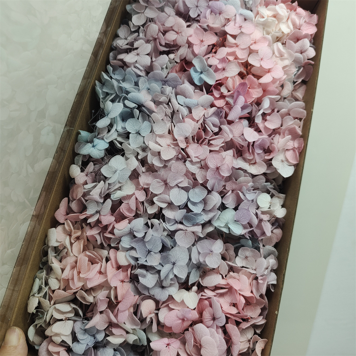Flor eterna Hortensia Anna pequeña hoja flor seca flor real árbol de Navidad ventilador hecho a mano ramo DIY material paquete flor