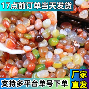 Rain Flower Stone Pebbles Original Stone Flower Pot Fish Tank Decoration Colorful Stone Fleshy Paving Stone Garden Landscape