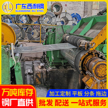 广东厂家供应0.3-4.0mm有花无花镀锌板 白铁皮雪花板可分条高强