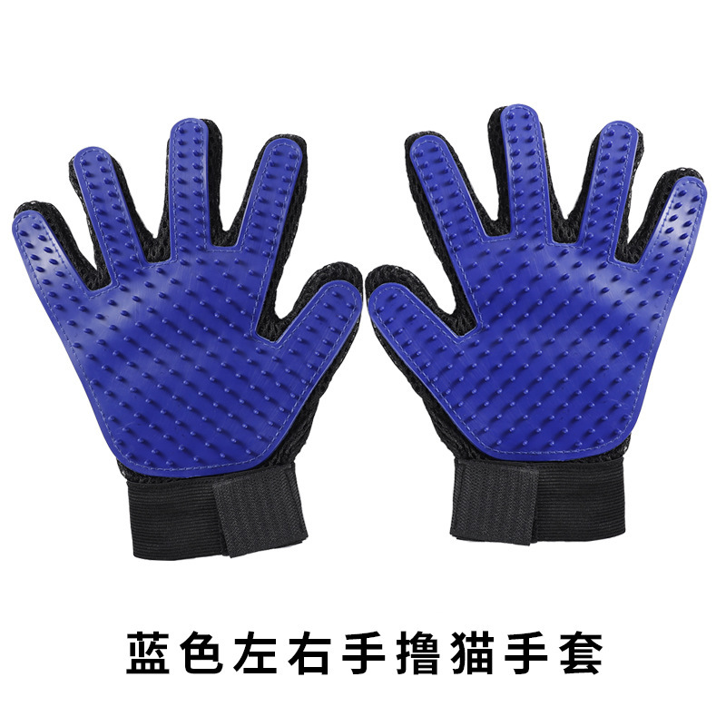 [왼손과 오른손 2 개] 파랑