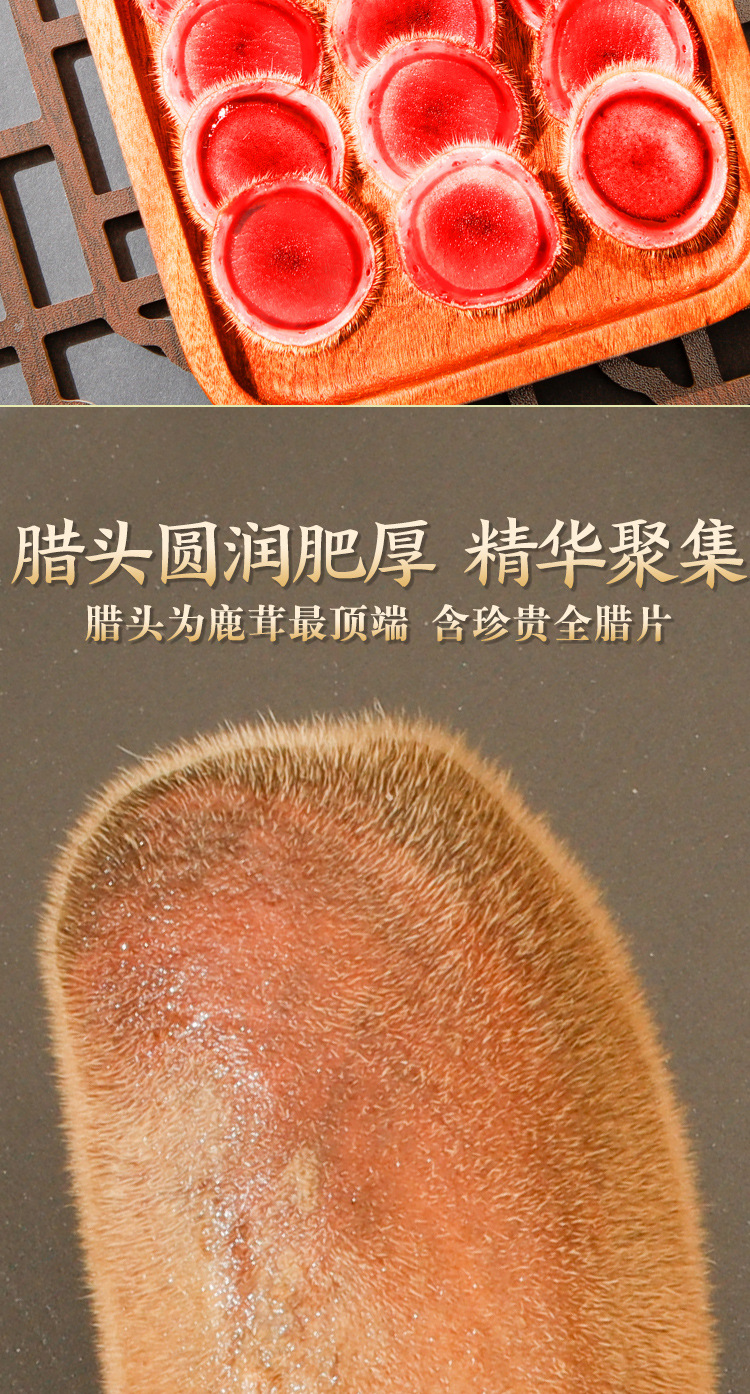鲜鹿茸详情2022_09.jpg
