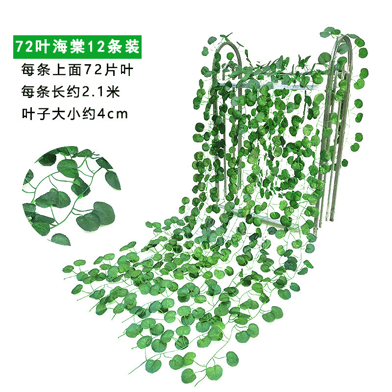 O1CN01EqAhnI1Ohakka84eA_!!2211