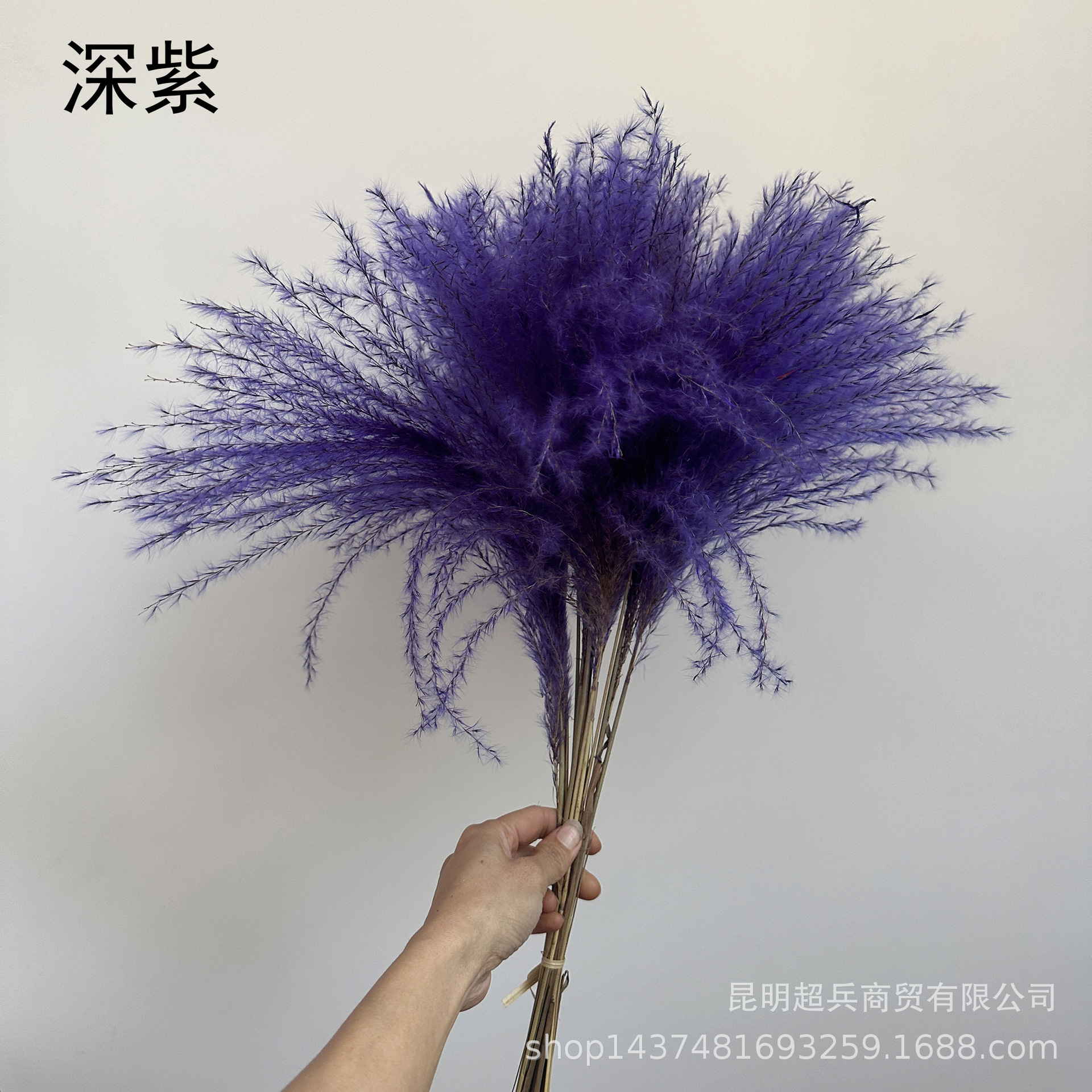 微信图片_20250310133807.jpg