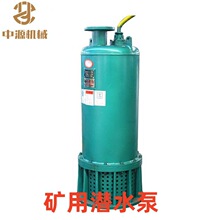 BQS120-50-30/N�V�ø����͝�ˮ��ɳ늱��͸��gBQS150-70-55/N