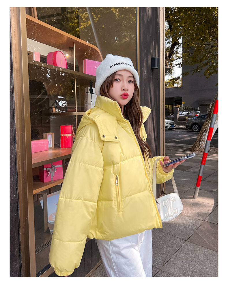 Piumino invernale in cotone 2023 nuova giacca in cotone da donna versione coreana giacca da studente corta con cappuccio per pane sciolto_voghion.com