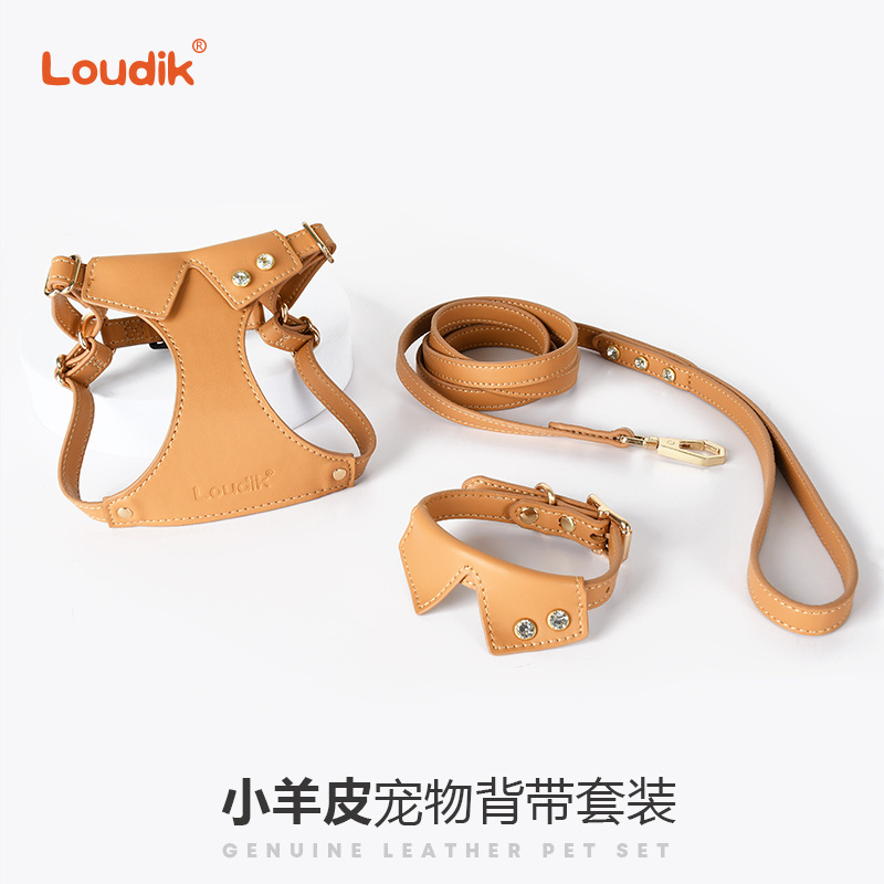 批发原创真皮宠物狗狗猫咪胸背带牵引绳项圈中小型犬跨境工厂Dego|undefined