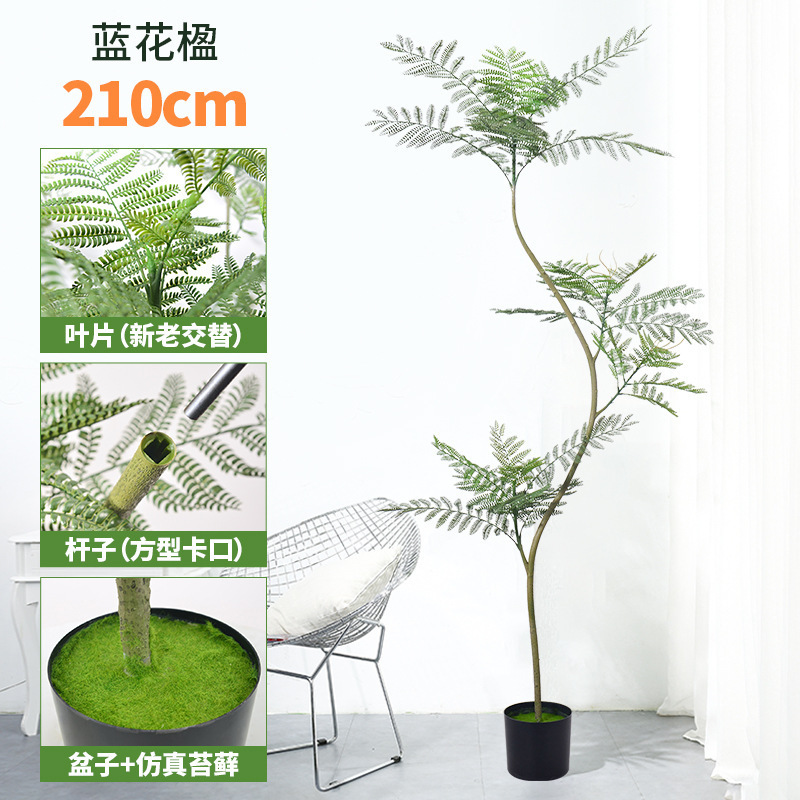 蓝花楹仿真绿植落地盆栽仿生植物摆件室内客厅沙发旁装饰盆景假树|undefined