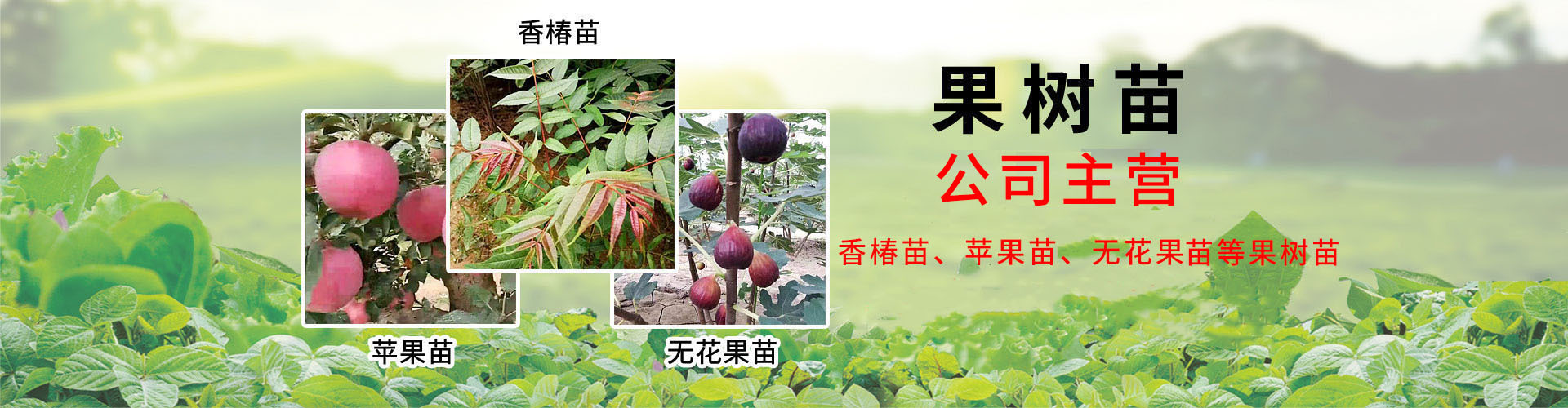 O1CN01X59Ib228rdmz57w93_!!2194