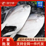 银鲳鱼特大深海新鲜鲜活海鲜冷冻深海白鲳平鱼昌鱼新鲜水产镜鱼海