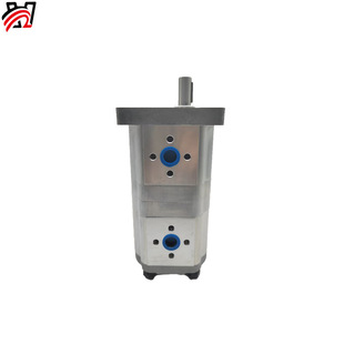Zheng Quan CBN Multi-gear Pump Double-gear Pump Flat Key Flat Key Spline Factory Direct Oil Pump Factory in stock