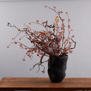 ����ʽ�͹�ɽ�w�� ��֦������ ��ݮ�����滨 �L֦�{���Ҿ����P�[