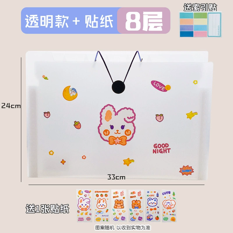 Capacious organ, multilayer bag for documents, storage system, folder for folders