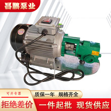 WCB便携式手提泵齿轮油泵汽柴油卸车泵机油循环供油泵微型泵