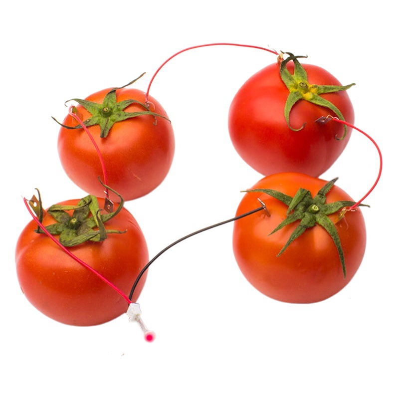 DIY homemade fruit battery power generation experiment zinc copper potato technology small production invention instrument physical materials