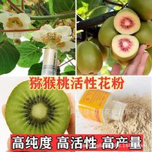 �J���Ҹ߻��ۻ���  �t�ľG���S��ܛ���J���ҹ���ͨ���˹��ڷۻ���