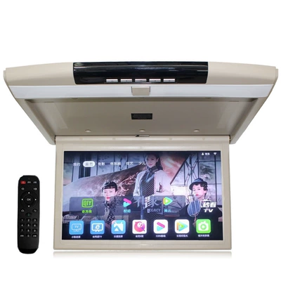 Ceiling Screen Car FM Lcd — Car TV