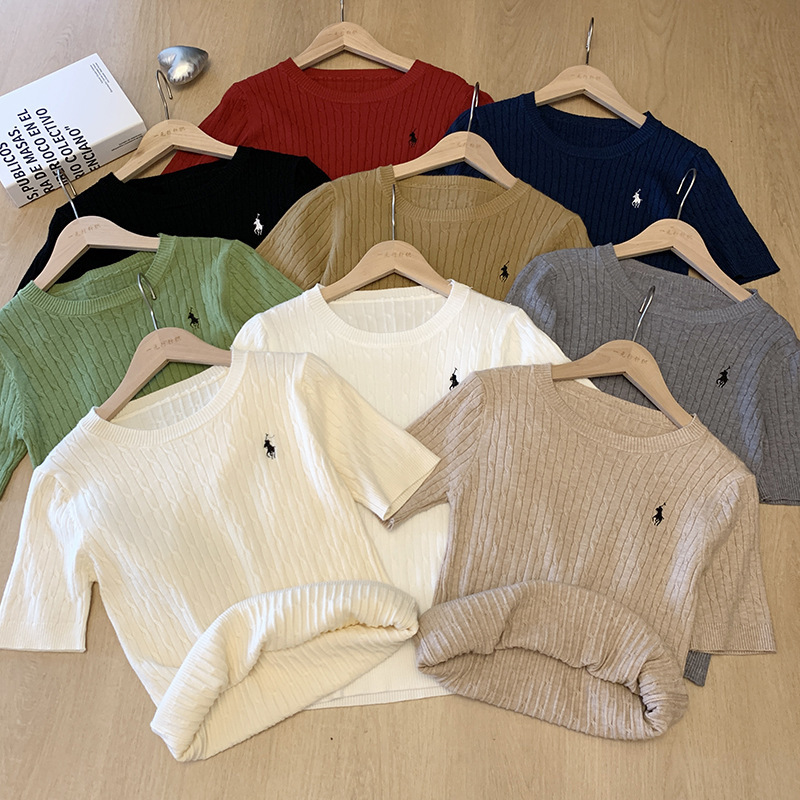 Soft Waxy Skin-friendly Twist Pony Embroidered Twist Knitted Shirt Women's Short-sleeved Spring and Summer Breathable Cotton Yarn Vintage All-match Top