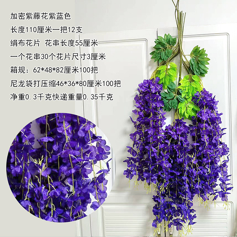 Frijoles cifrados azul púrpura (12)