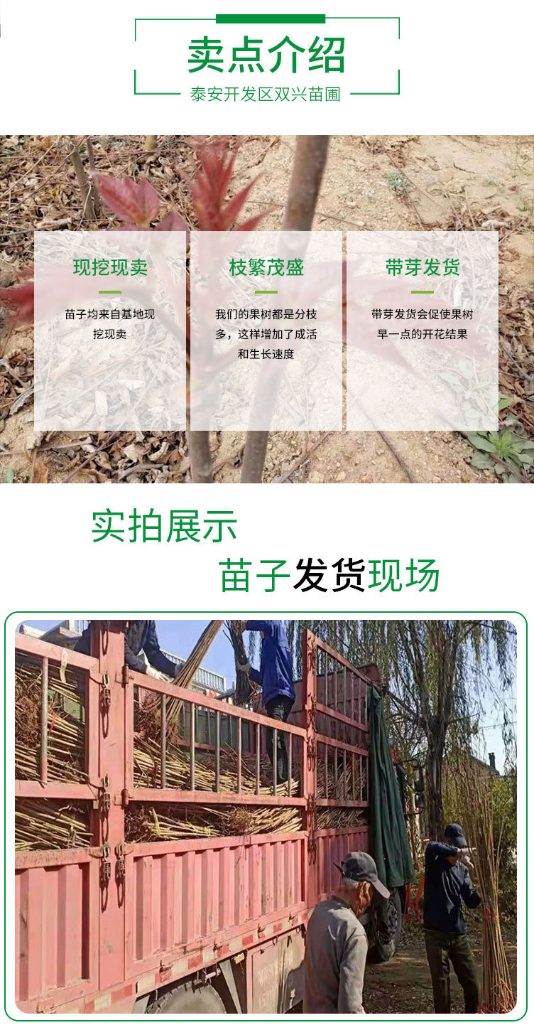 O1CN01bTS8Lx2CJ4KiMMqCN_!!2970