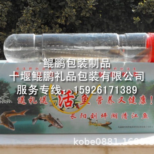 活鱼礼品包装盒,活鱼礼品盒,活鱼包装箱,活鱼包装瓶塑料筒氧气筒