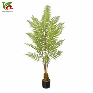 ����1.5��������~ާ���ֲ���҃ȼҾ��bGֲ�辰�S��ֱ�N�٘�