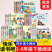 2025һ꼉Կ옷xn˽̰ZĽ̲