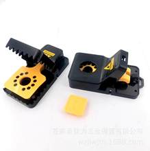 SֱA¿Aϴ̖ҧAӜ󹤾