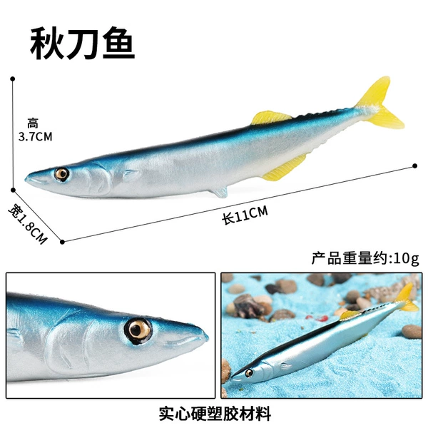 M-2746 autumn saury