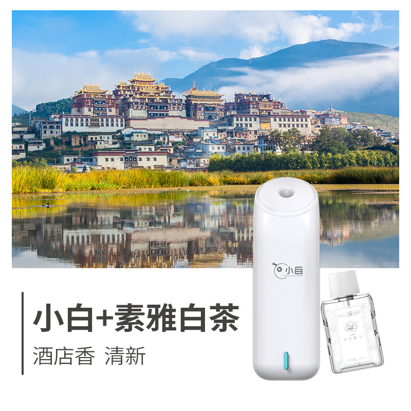 작은 흰색 + 일반 흰색 차