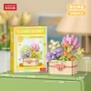 Spring full of orchids-[golden-stitching box]