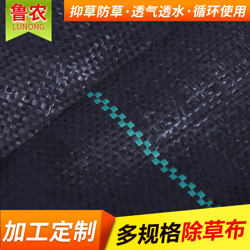 厂家供应防草地布抗老化园艺地布pp除草布除草地布透气大棚地布