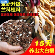 �m��������ֲ�ϠI�B�������m�����m�Nֲ���|�ɘ�Ƥ��ֲ���m�ƻ���