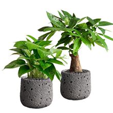 �lؔ��С���Կ͏d�G�}ֲ���k���҃ȸ��F�������辰�����ļ����B��