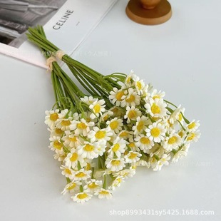 ���Sֱ�N��ʾ��r�ռٻ����滨�͏d�[�O�������b����羳����