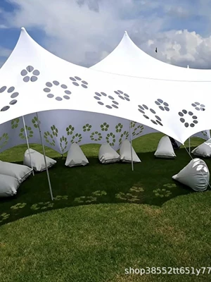 Stretchable Canopy with — Avtomobil yan çətirləri