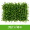 Encrypted Wufu Cao