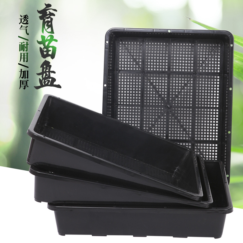 多肉育苗盘加厚塑料树脂叶插播种闷养箱黑方托架托盘整理筐盘盆架