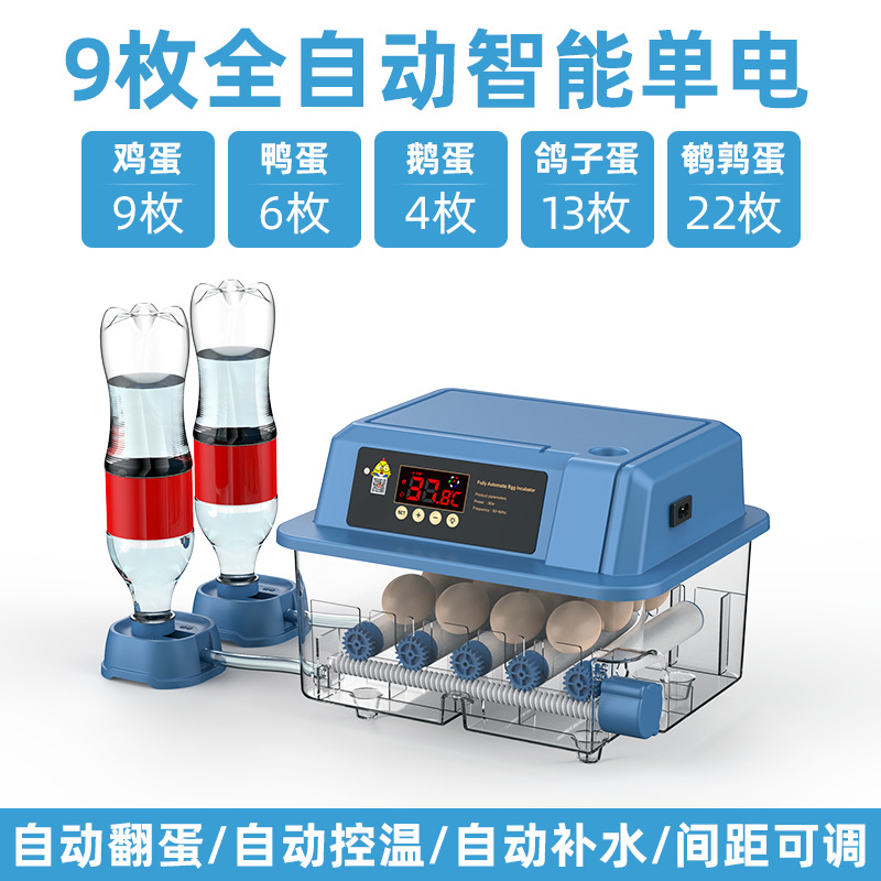 Incubadora de Huevos Inteligente para Codornices, Máquina de Incubación Inteligente para Cría de Aves, Fabricante Original