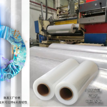 ֱ�N�Ӻ�С��늾�Ĥ10CM�����p�@Ĥ͸�����ɫ�ɶ�peĤС�p�@Ĥ