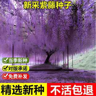 �����²����ٷN�������}��N�����ٻ�������ֲ�����⹫�@���^����