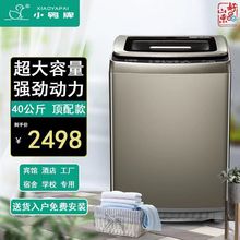 正品小鸭家用波轮洗衣机全自动大容量洗脱一体酒店宾馆出租垒德株