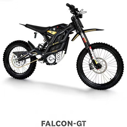 Cross-Border Export of 79Bike Electric Off-Road Motorcycle Gt Track Version Endurance Race Two-Wheeled Competitive Electric Bicycle Cross-Border Export of 79Bike Electric Off-Road Motorcycle Gt Track Version Endurance Race Two-Wheeled Competitive Electric Bicycle